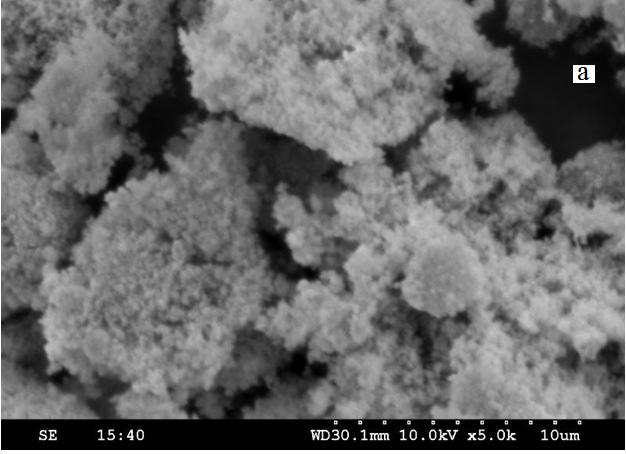 Characterisation of the CuFe 2 O 4 nano Catalyst: From SEM, XRD