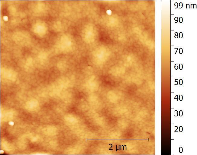 2. Atomic Force Microscopy (AFM) characterization: The topographic image of a 76 days aged FTO/TiO2/CH3NH3PbI3-xClx /Spiro-MeOTAD SC sample showing a pinhole-free surface of the cell is shown in