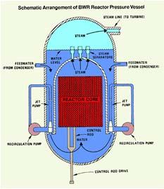 reactor pressure vessel) Safe confinement of
