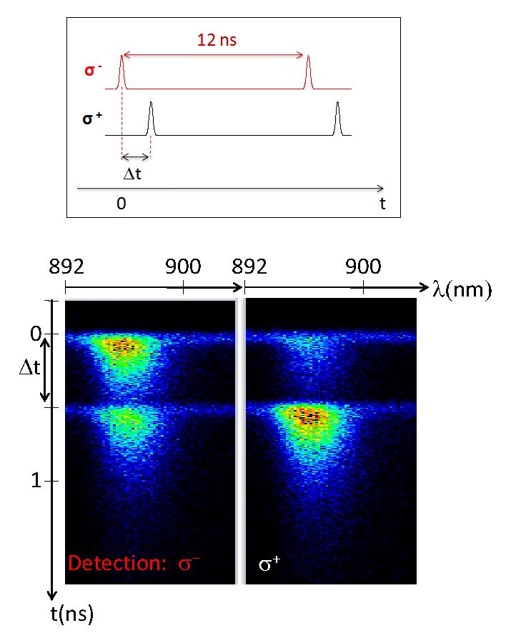 Figure 2. Typical time-resolved PL results from sample MN1 using two excitation beams with opposite circular-polarizations.
