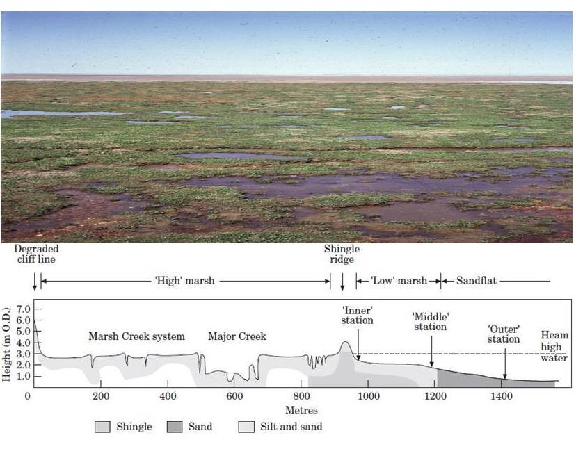 Validating the modified vegetation module Further validation over a 197m transect at the Stiffkey, North Norfolk saltmarsh using the wave dissipation measurements of Mӧller et al. (1999).