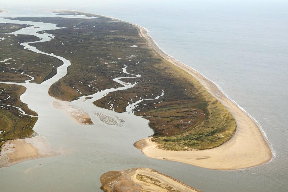 Site Characteristics: Geomorphology Tide dominated Meso- to macro-tidal Complex topography Barrier islands Back barrier marshes Tidal channels Open marshes