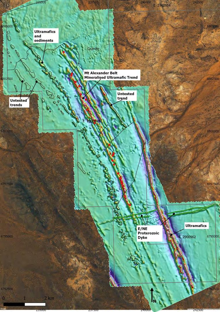 Mt Alexander Belt Underexplored belt with proven massive nickel sulphides Mt Alexander Belt is north-northwest trending with a strike of 7km Historical drilling has intersected widespread nickel
