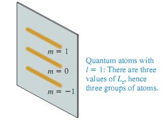 valori Lz conduc la 3 spoturi In 1927, odata dezvoltata teoria cuantica a lui Schrödinger, tehnica Stern Gerlach