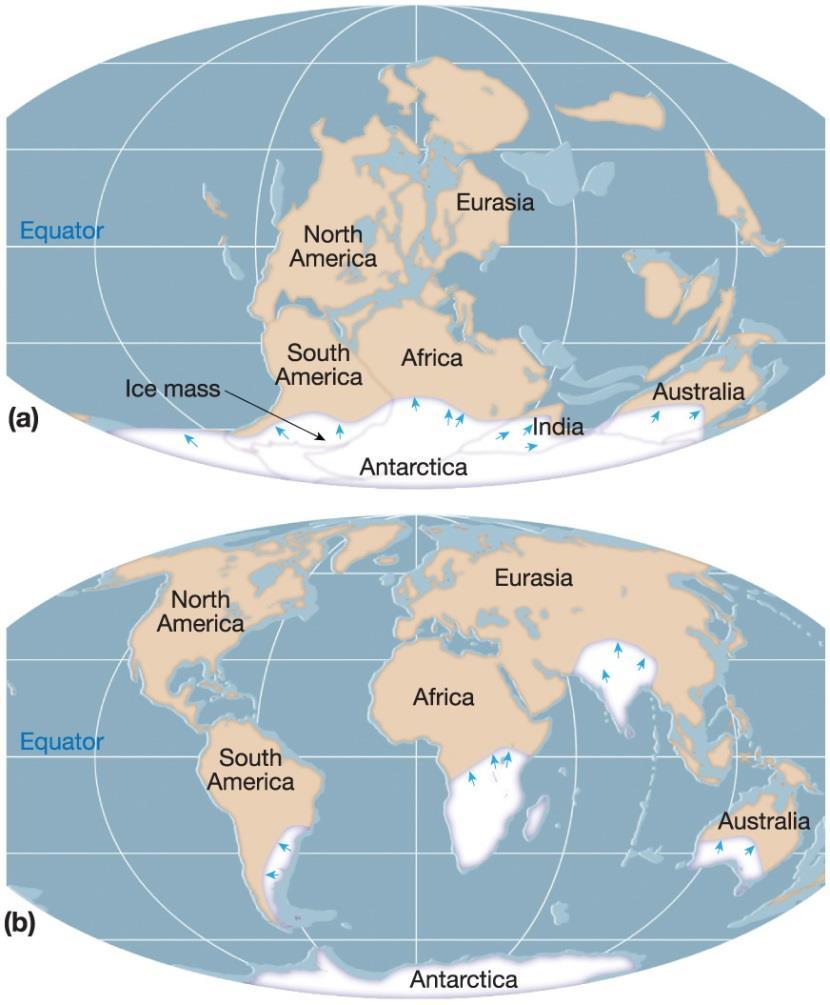 Plate tectonic theory Evidence for continental drift 4.