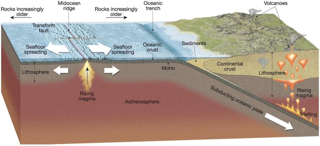 Plate tectonic theory Seafloor spreading from mid-ocean
