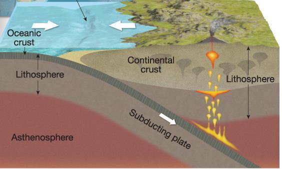 Oceanic continental convergence Ocean plate underrides continental plate subduction.