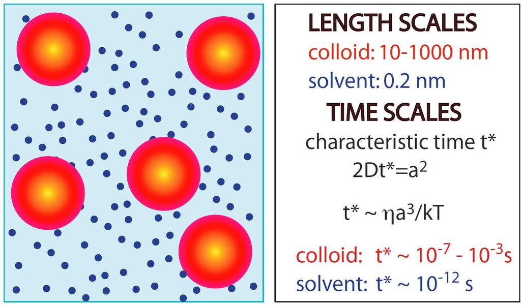 Challenge for simualtion Huge difference in length and time scales between of colloidal particles and solvent molecule.