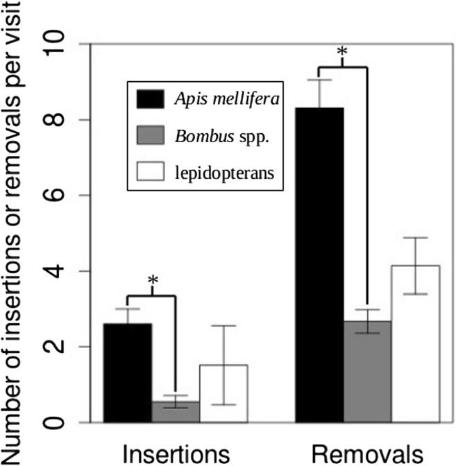 Howard and Barrows BMC Evolutionary Biology 2014, 14:144 Page 8 of 16 Figure 2 The number of pollinium insertions and removals per visit (±1 SE) in Apis mellifera (black bars), Bombus spp.