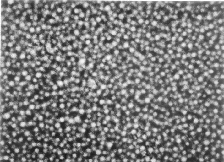 High resolution emulsion ( Tracker:NIT (Nano Imaging ( emulsion normal emulsion(opera NIT 200nm size 200±16 nm density 2.