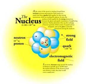 Isovector (T=1) and isoscalar (T=0) nucleon pairs Nuclear force is charge independent The Coulomb interaction doesn t play an important role in low-lying states Isospin conserved A proton and a