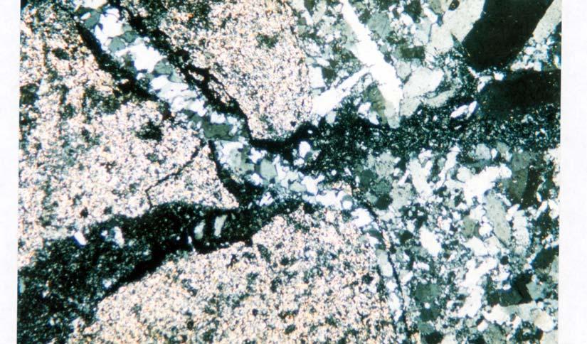 Betze Photomicrographs Polyphasal Stage II veining of silty micrite altered to an early stage of quartz-sericite.