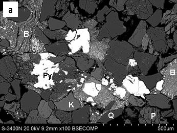 SEM BSE image showing pore spaces filled with Fe rich biotite (B) that contain grains of pyrite (Py).