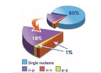NP dominance 96 ± 3 % R. Subedi et al., Science 30, 1476 (008) 9.5 ± % R. Shneor et al.