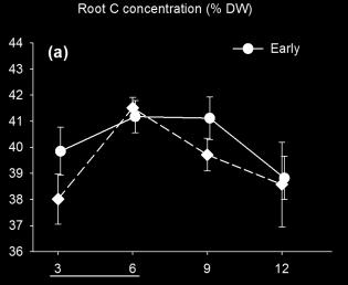 Opposite to the higher N concentration in roots when Plantago species were defoliated at an early stage during the growing season