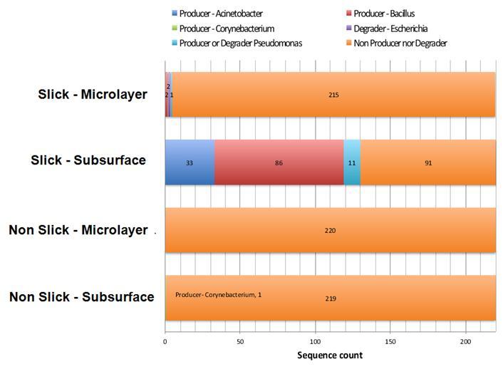 Surfactant associated bacteria in and outside slick (DNA analysis) Relative abundance of potential surfactant-associated genera in the sea surface microlayer