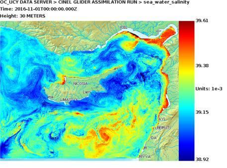 Figure 7. Maps of salinity at 30 m on 1 Nov 2016 for data assimilation run (left) and control run (right).