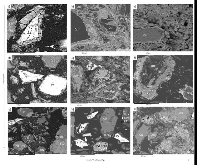 Tailings Mineralogical Results Initial Tailings Mineralogy: Pyrrhotite, pentlandite, chalcopyrite, pyrite, ± cobaltite, sphalerite and galena.