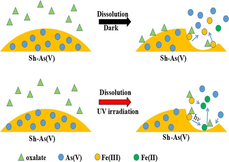 Photoreductive Dissolution of Schwertmannite with Incorporated As(V) Induced by Oxalate (a) 1 1 Sh-As(V)- (b) 1 9 3 Sh-As(V)- 1 1 1 1 (c) 5 3 1 Sh-As(V)- 1 1 Fig.