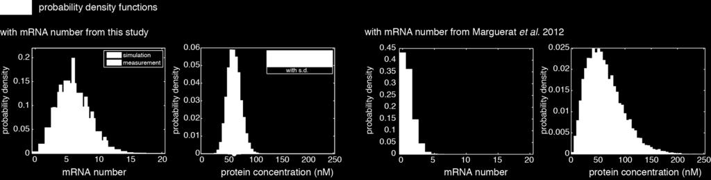 For budding yeast, determination of mrna numbers in single cells yielded slightly higher numbers per cell 6, as we observe it now for fission yeast.