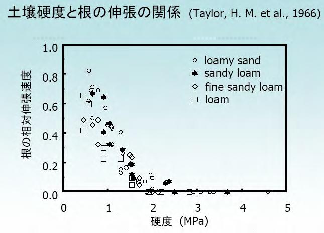 Relationship between soil hardness and root