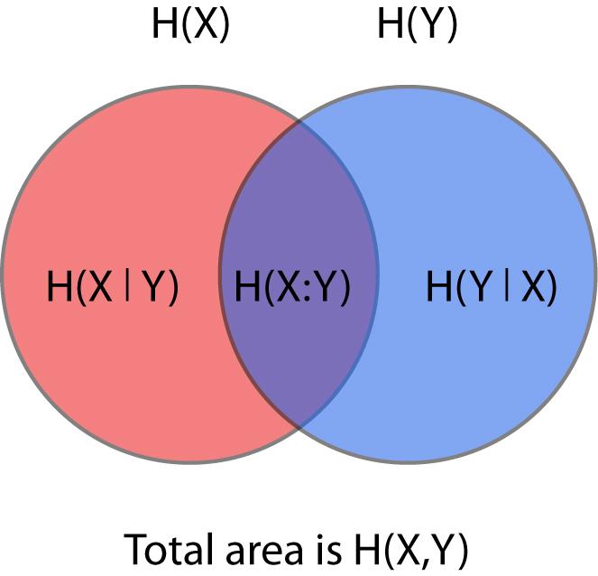not common is counted only once. Subtracting off the joint information H(X, Y ) gives us the common or mutual information of X and Y H(X : Y ) H(X)+H(Y ) H(X, Y ).