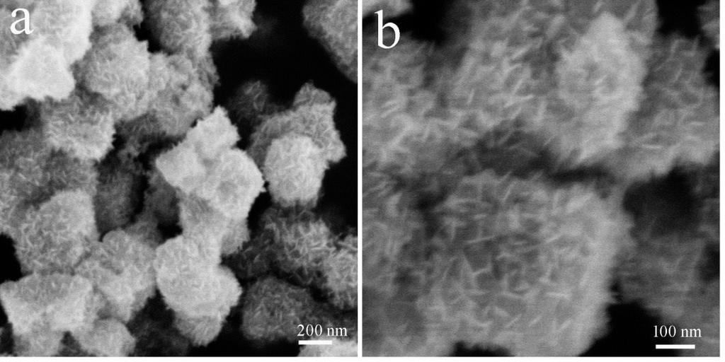 Figure S6. The SEM images of the hollow ZIF-8@ZnO hybrids after the Ar/H 2 plasma etching for 4 h.