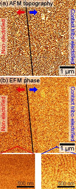 Figure S10. (a) Topographic atomic force microscopy (AFM) image and (b) EFM images of nanopatterned silica surfaces (left) before and (right) after contact electrification.