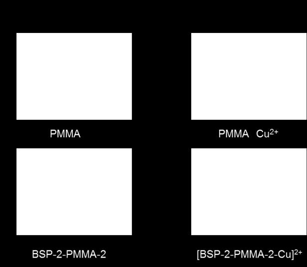 significant difference in contact angle was observed between the BSP-2-PMMA-2 (77.3 ) and [BSP-PMMA-2] 2 Cu 2+ (32.12 ) (Figure 3.7). The Cu 2+ coordination induces a 45.