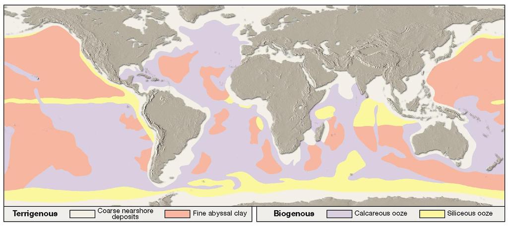 Distribution of marine