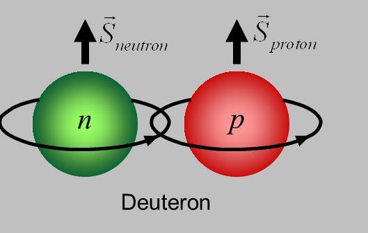 Paired spin Half integral spins Usually spin pairing between protonproton, neutron-neutron but also proton-neutron