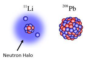 Halo Neutrons Very weakly bound Can extend to nucleus with mass number Predicted Li-11 size 2.74 fm, Actual Li- 11 size ~ 7.