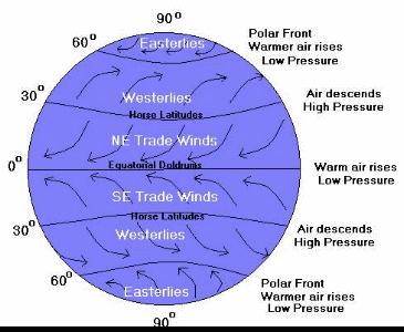Global wind Belts o Trade winds: blow from the horse latitudes toward the Used for routes o Polar easterlies: Cold air near the poles sinks and back toward the lower latitudes Coriolis effect these