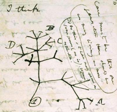 A tree is the only figure to occur in On the Origin of Species by Charles Darwin.