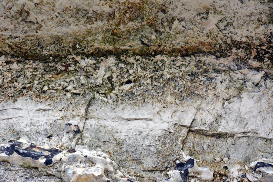 CARBONATES part 3 MICRITES, CHALK and CHERTS: a very simple introduction to carbonates and silica in deep ocean waters notes from lecture: a quick summary