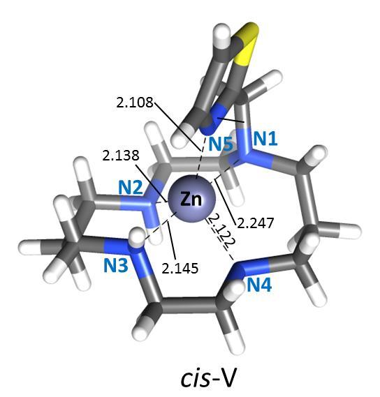 cis-v isomers of [Zn(te1th)] 2+ calculated in aqueous