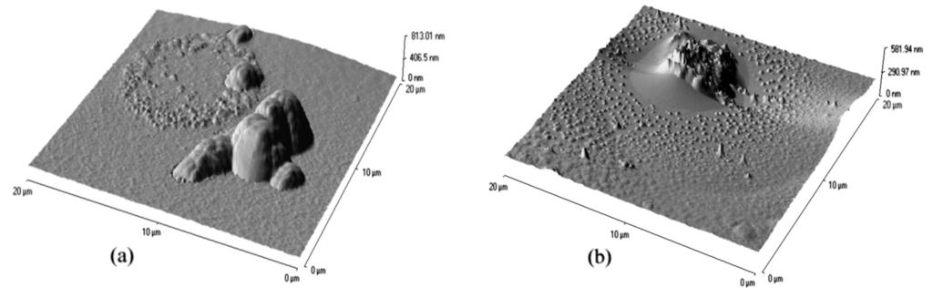 292 I. Šimkienė et al. / Lithuanian J. Phys. 45, 289 295 (2005) Fig. 4. AFM micrographs (20 20 µm 2 ) of SiO 2:Fe/SiO 2/Si hybrid samples (a) No. 33 and (b) No. 48 with higher magnetization. Fig. 5.