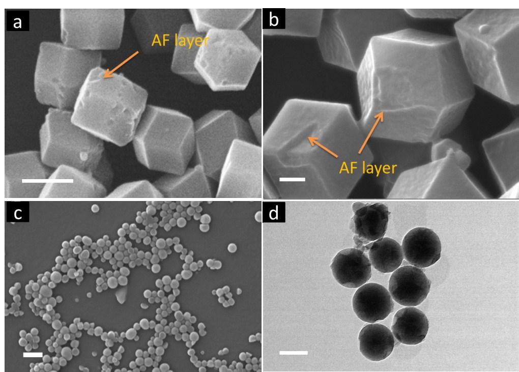 Fig. S1 (a) and (b) the enlarge SEM images of 0.5-ZIF-67@AF and 1.
