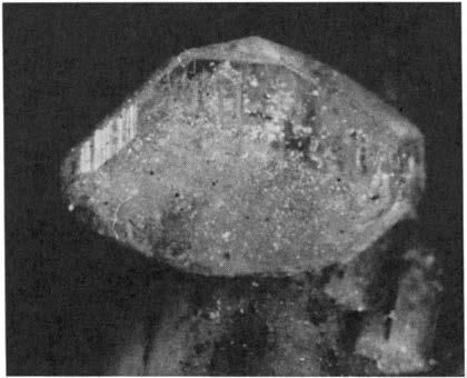 172 IVAR OFTEDAL AND P. CHR. SÆBO Fig. l. Phenacite crystal. c-axis vertical. Size about 3mm. examination. It contains small amounts of boron (cf. OFTEDAL 1964).