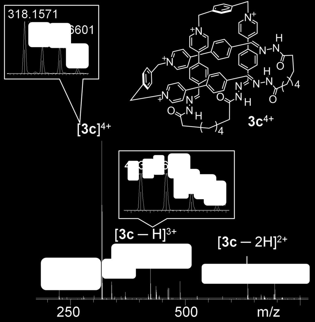 Figure S7. LCMS-IT-TOF of 3c 4+ (The counteranion could be either Cl or CF 3 COO ).