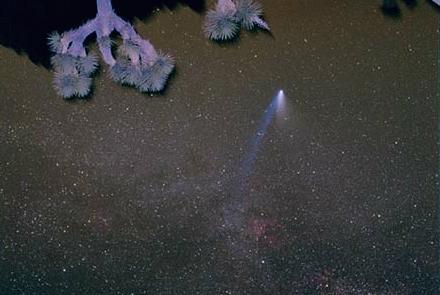 Comets with mm-arrays Hale- Bopp