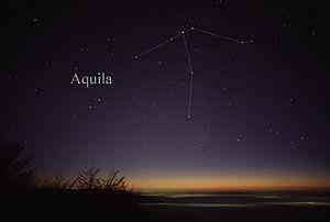 It was called Aquila because it has shape of an Eagle.
