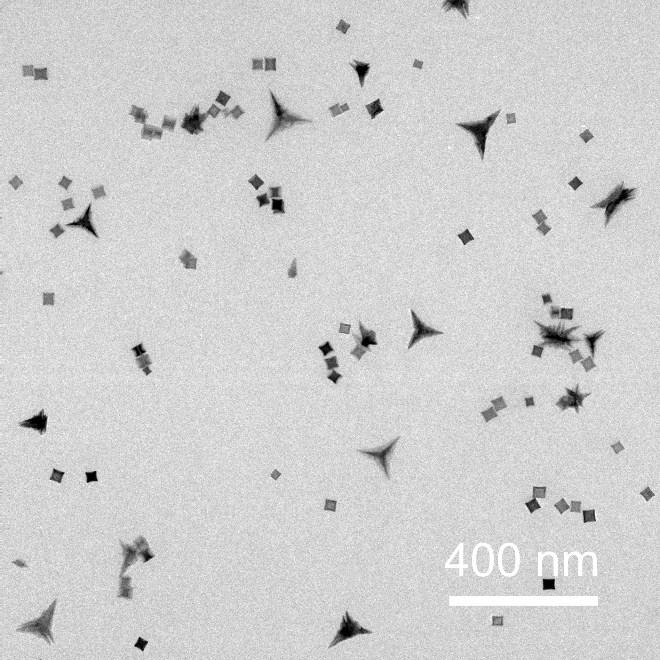 Fig. S2. TEM image of Rh nanoparticles synthesized from seedless slow-injection method with an injection time of 3 h.