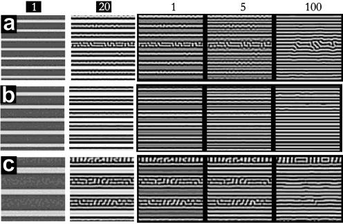 4434 J. Phys. Chem. A, Vol. 107, No. 22, 2003 Berenstein et al. Figure 12. Simulations of pattern development with on-off profile of narrow stripes, r on ) 0.25 for wavelength ratios R ) (a) 3.