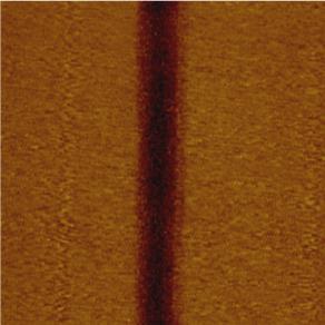 template growth, scale bar: 10 nm; c) AFM height image and d) friction image