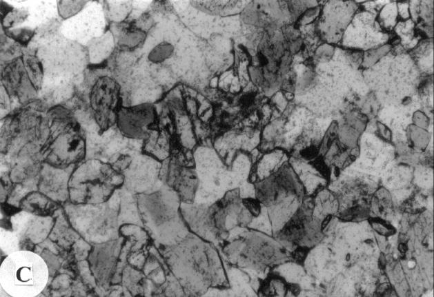Minerals were analysed for major elements using a Cameca 255-electron microprobe operating at 15 kv with a Link EXL2 energy-dispersive spectrometry system.