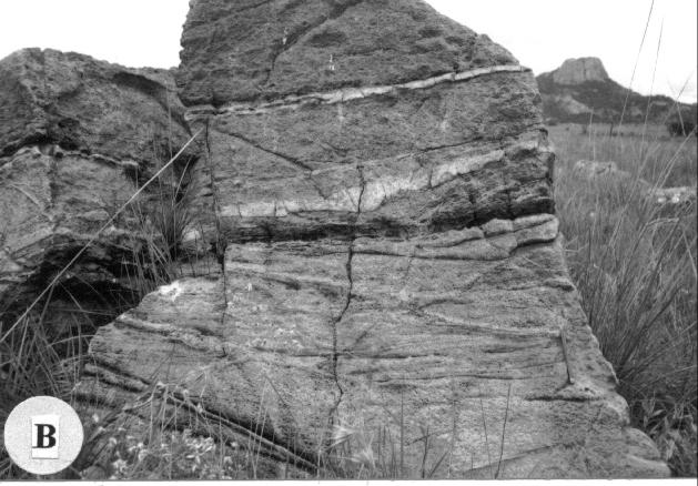 Although their primary mineralogy has been replaced by metamorphic assemblages, original sedimentary features are locally preserved.