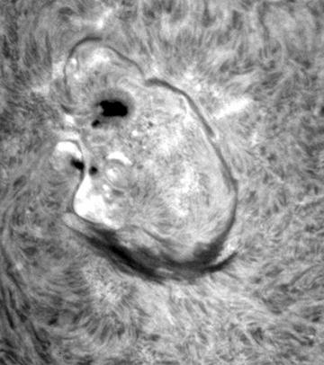 Observational clues Active region helicity sign Sunspot whorls Sunspot whorls H AR < 0