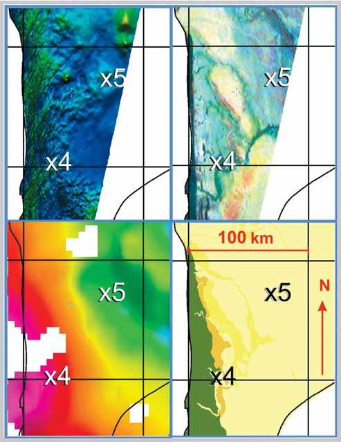 Fig. 14. Detailed versions of magnetic, radiometric ternary, gravity and lithological maps in the southern part of the study area. In Fig.