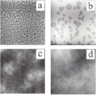 Figure 2.7: AFM images of surface morphologies of thin films of symmetric diblock copolymers P(S-b-B), taken from [32].